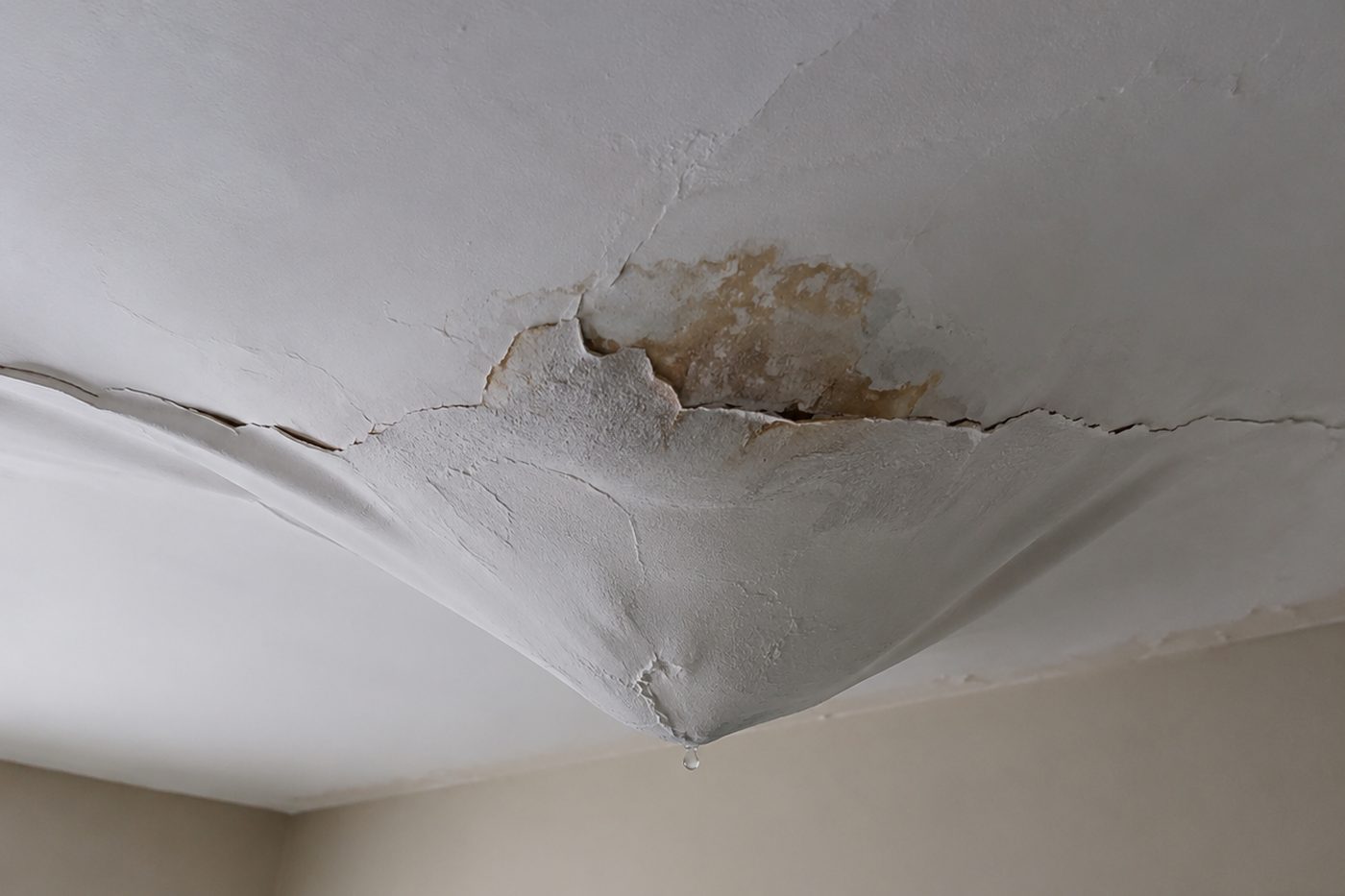 Water-stained plasterboard ceiling in a Plymouth home