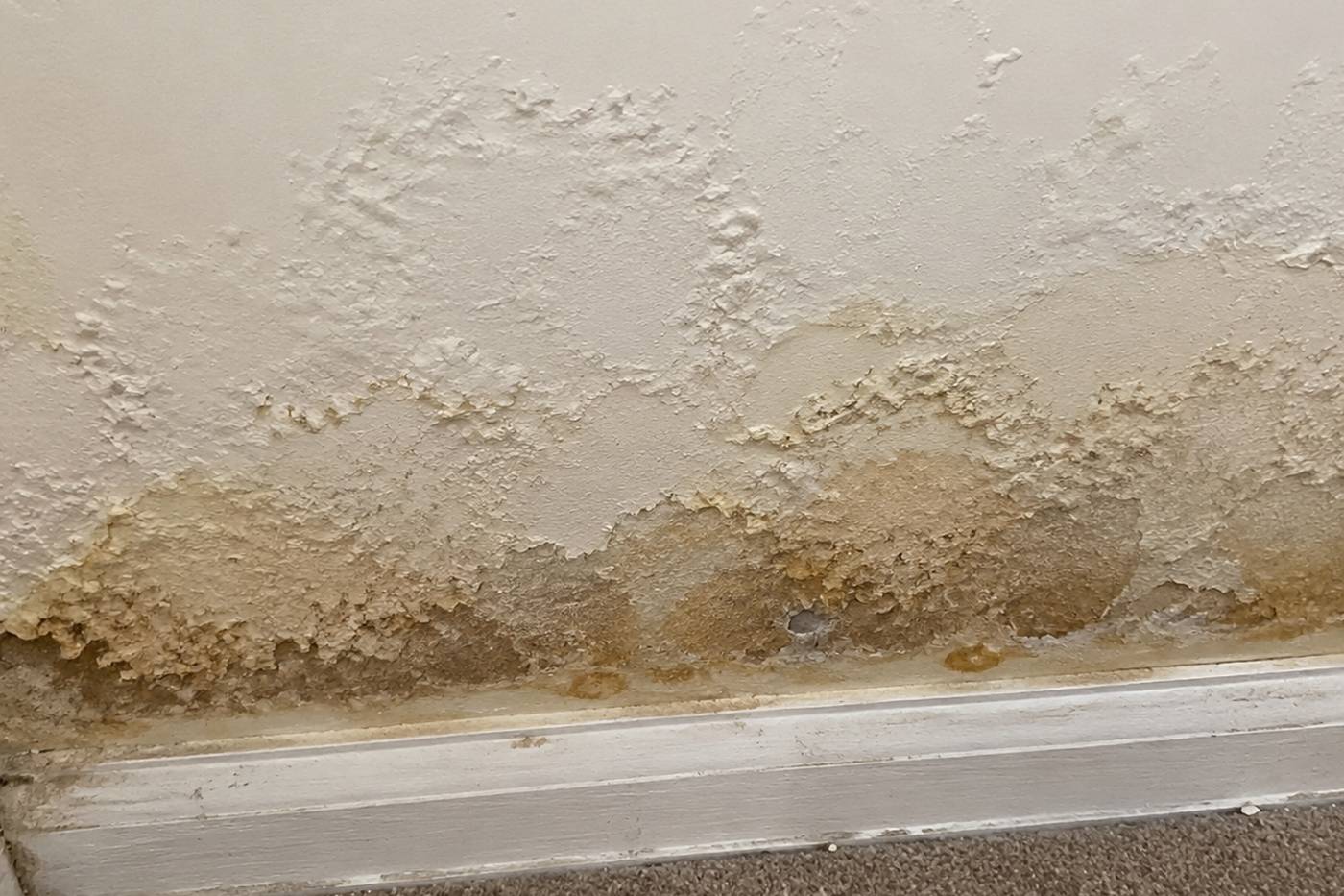 Damp wall being dried in a Plymouth home