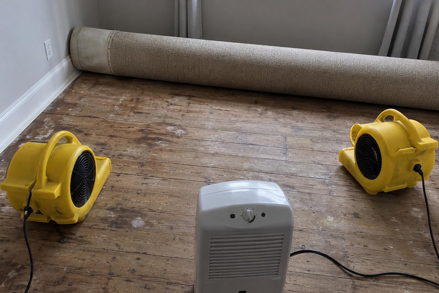 Wet carpet being dried in a Plymouth home