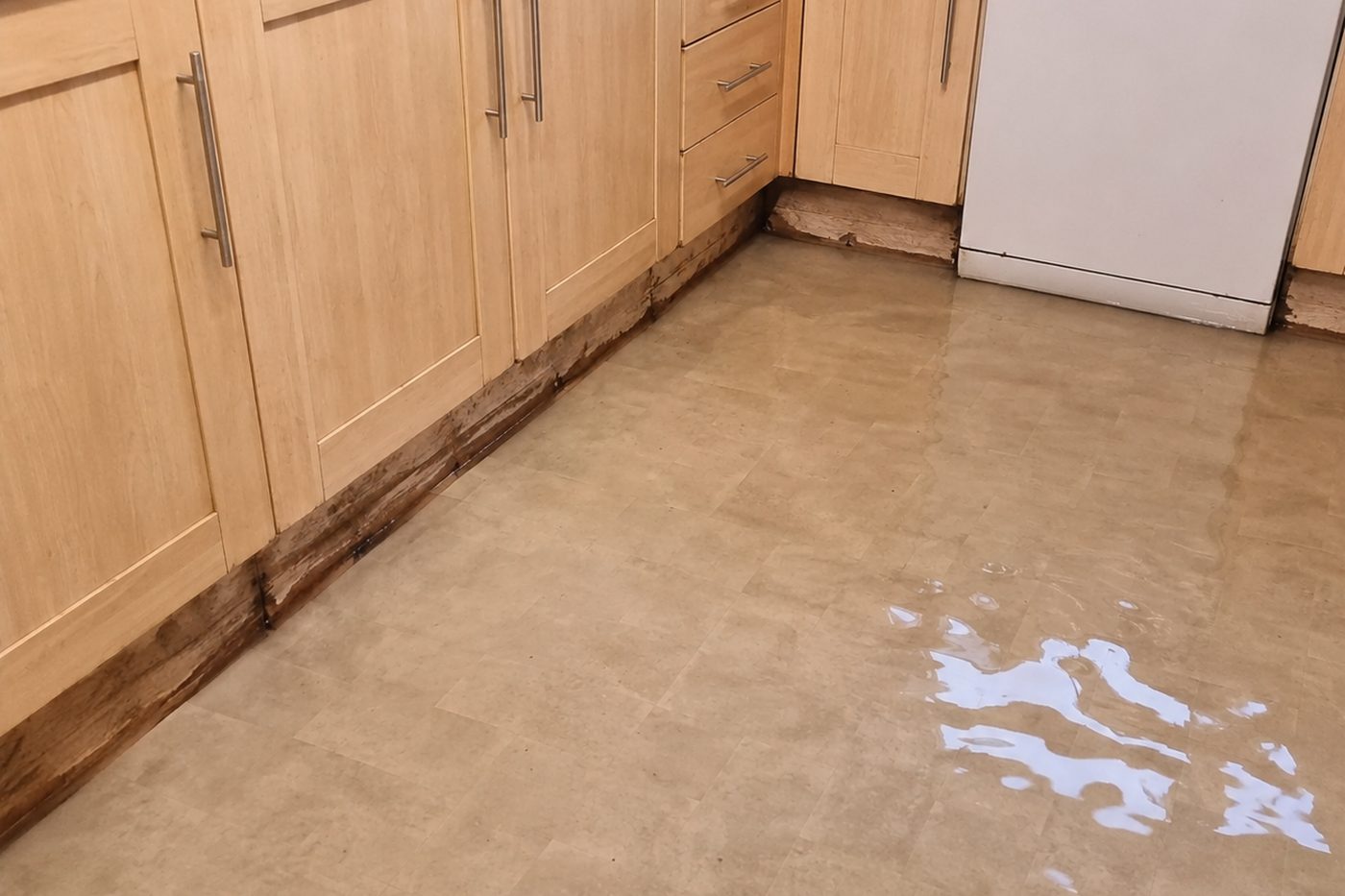 Contaminated water across the floor of a Plymouth property