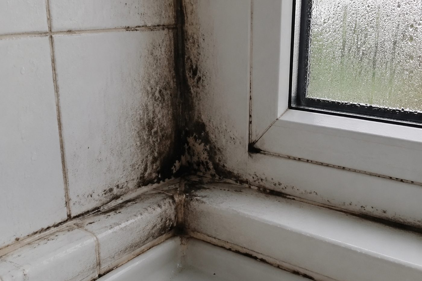 Mould testing in a Plymouth property